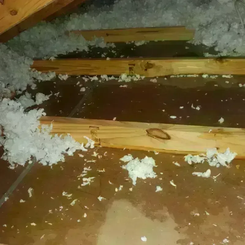 Attic Water Damage in Argos, IN